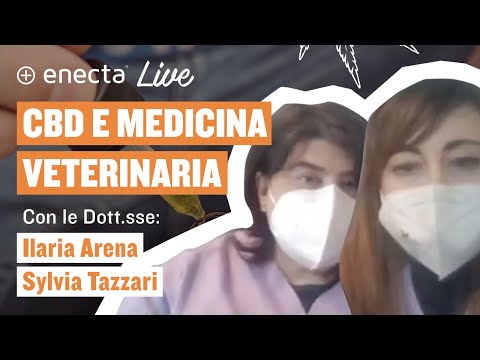 Video: Una soluzione a base di canapa per i dolori e i dolori del tuo cane