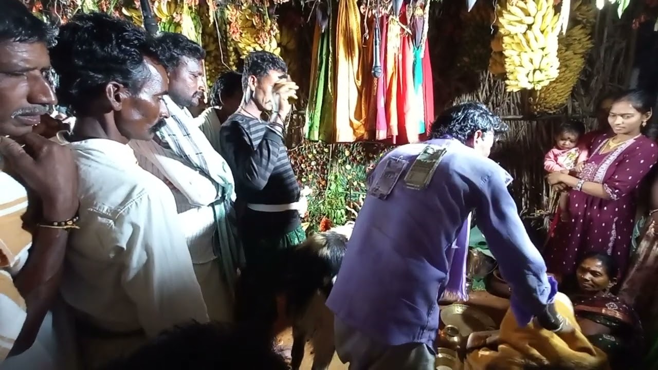 thanni malleshu guruvu garu golla chaduvu,in 17/02/25 somanadhapuram gavu sambaram