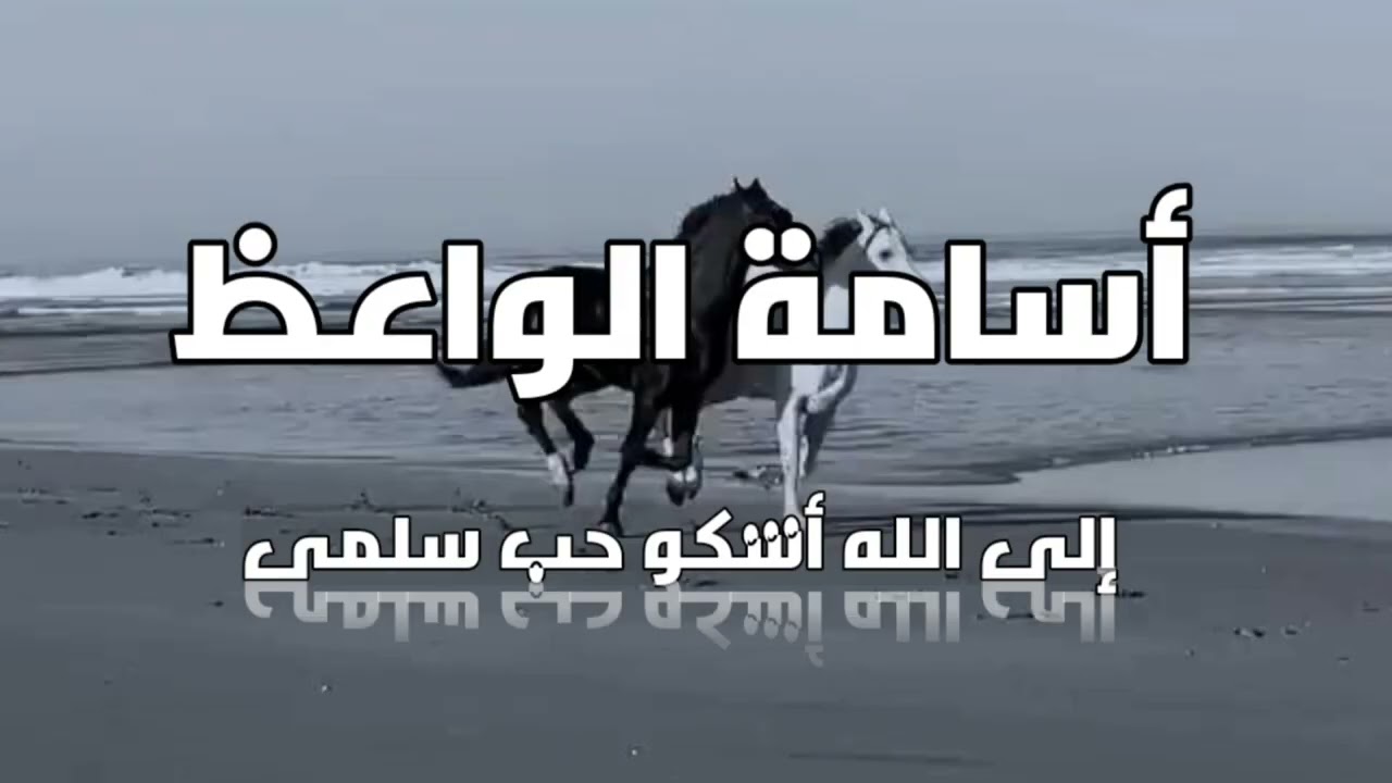 إلى الله أشكو حب سلمى _ إلقاء : أسامة الواعظ