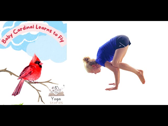 Yoga Poses for Kids Cards (Deck 1) - For Classroom Yoga, PE Exercise  Equipment, Memory Yoga Game, Brain Breaks, Movement Breaks, Play Therapy,  Kids Yoga Class, Autism Therapy Games, or ADHD Tools: