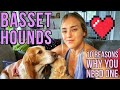 BASSET HOUNDS: 10 Reasons Why You DO Want One (I’m Back) の動画、YouTube動画。