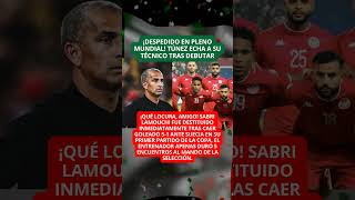 Túnez despide a su técnico en pleno Mundial tras ser humillado por Suecia