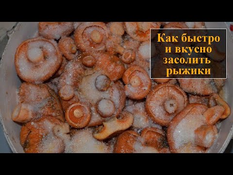 Как квасить рыжики в домашних условиях