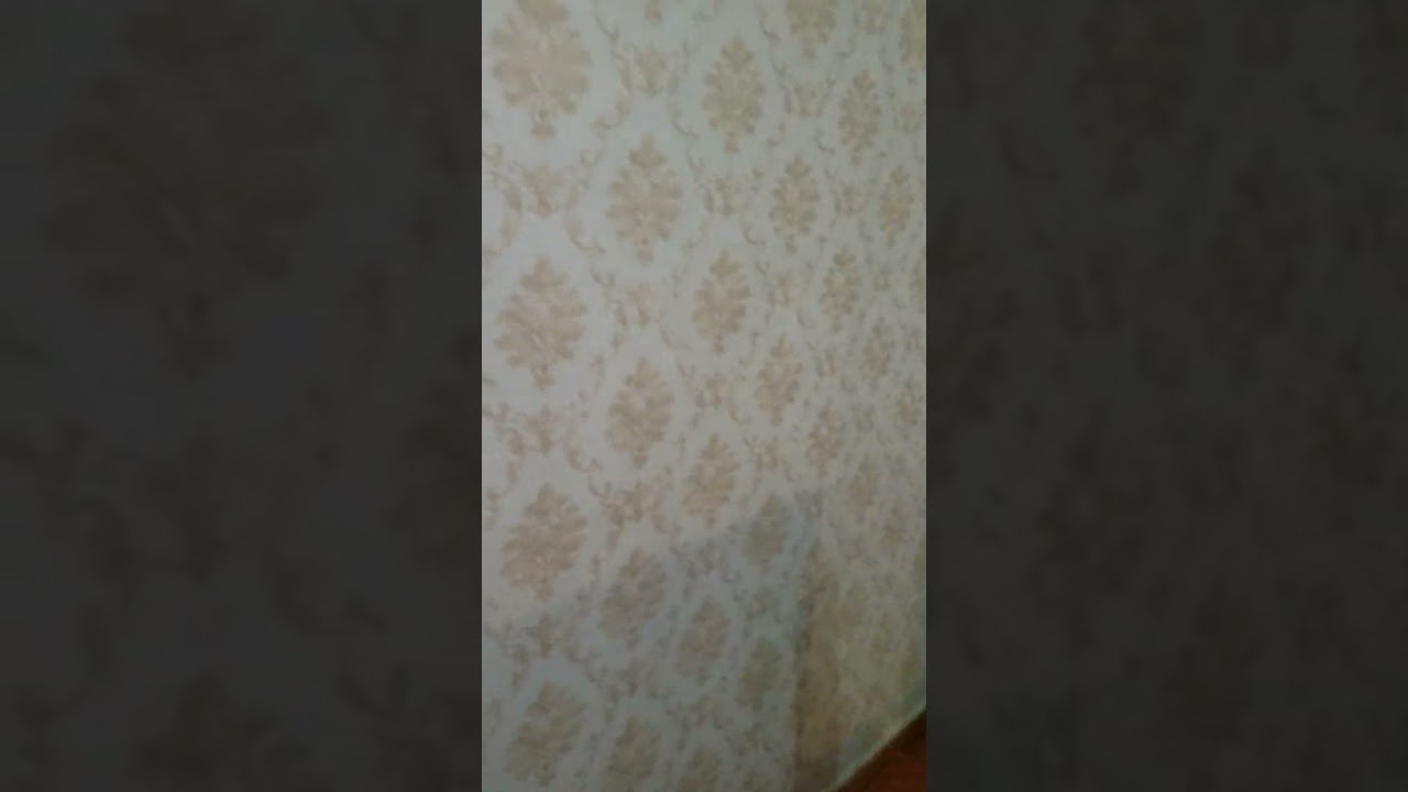 Floral wallpaper designs for your living room💙         