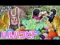 【こびとづかん非公式】たまごと、こびとをさがせ!!イースターエッグハント!!