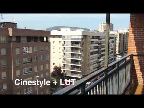 Canon EOS 650 TEST - Technicolor Cinestyle vs ML RAW