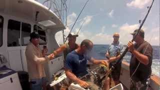 iona gamefishing massive black marlin cairns