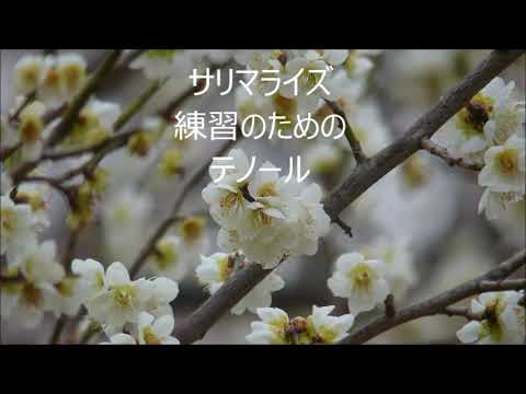 サリマライズ　テノール -sarima raizu-Tenor