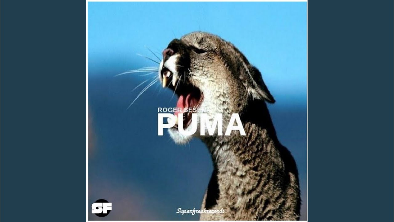Watch Puma (Original Mix) on YouTube Watch Puma (Original Mix) on YouTube