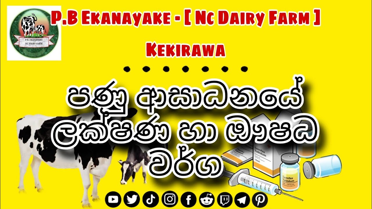 🔴 පණු ආසාධනයෙ ලක්ෂණ හා ඖෂධ වර්ග භාවිතය || 2025.07.07 || #pbekanayakencdairyfarm