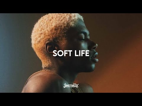 Soft Life Afro Fusion Instrumental Type Beat 2026 