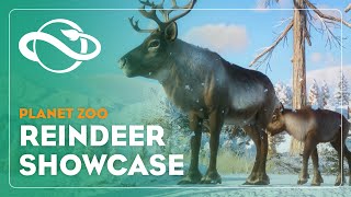 Planet Zoo | Reindeer Showcase