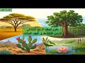 علوم الصف الرابع الابتدائي الدرس الثالث طرق تكيف النباتات شجرة الكابوك والسنط مغامرات العلوم