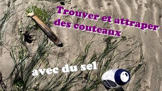 Facile et ludique : Comment trouver et ramasser des couteaux sur une plage de sable avec du sel