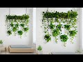 Hanging Money plants Make Your Living Room More Welcoming & Relaxing- Money plant Idea//GREEN PLANTS