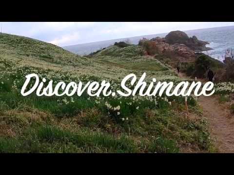 Video: Daffodil Hill Stengt På Grunn Av Overtourisme