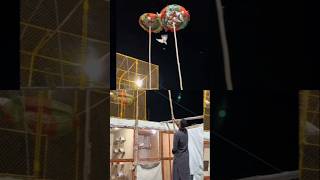 Download Lagu Kabootaron ke video #kabootar #kabutar #pigeon #kabootarloft05 #birds #vilogpigeon #pigeonhouse MP3