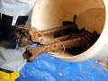 FBI Trains at the Body Farm