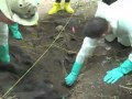 FBI Trains at the Body Farm