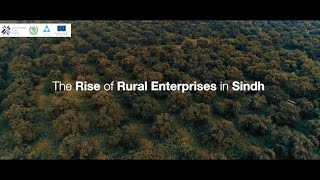 The Rise of Rural Enterprise in Sindh | GRASP