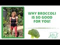WHY BROCCOLI IS SO GOOD FOR YOU!