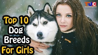 Top 10 Dog Breeds For Girls : Dog Breeds : TUC