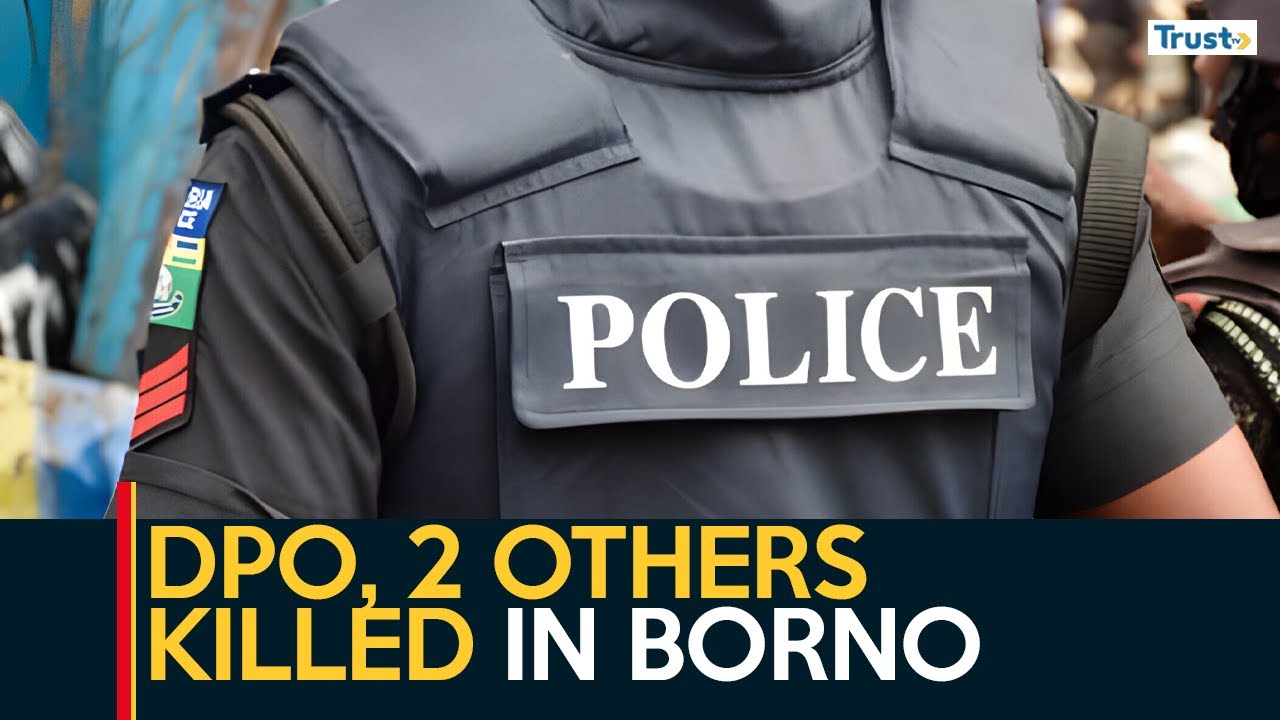 News Hour: DPO, 2 Others K*lled As Police Gun Down 2 Robbers In Borno ...