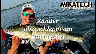 Zander schleppen mit MIKATECH 100% Handmade Wobblern, 70+ Zander am Fließband