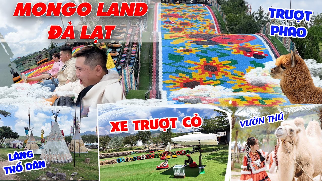Mongo Land Đà Lạt - Chia sẻ kinh nghiệm du lịch Đà Lạt 2025