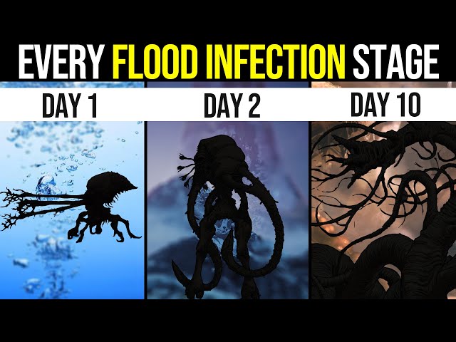 Halo Flood Infection