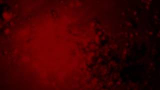 Deep Loss | Thomas Prislac
Subscribe Here: http://www.youtube.com/subscription_center?add_user=ChannelNameHere
Support: https://www.patreon.com/pdxvoiceteacher?ty=h
iTunes: https://itunes.apple.com/us/artist/thomas-prislac/id560666880
Facebook: https://www.facebook.com/Thomasprislacjroperaartist
http://www.cdbaby.com/Artist/ThomasPrislac
http://www.cdbaby.com/Artist/ThomasPrislacJr Deep Loss | Thomas Prislac