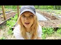 Building an Easy DIY Potting Bench for My Garden | Vegetable Gardening for Beginners