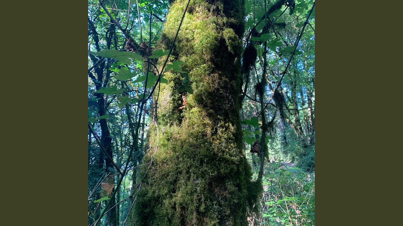 Watch Majesty on YouTube Watch Majesty on YouTube