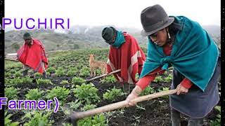 PROFESIONES Y OFICIOS EN AYMARA E INGLES