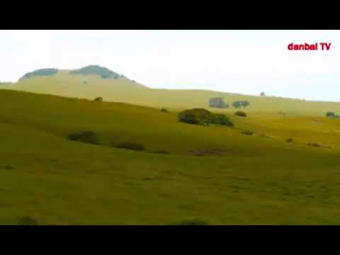 Faaruu Ganamaa Azkaara Ganamaa