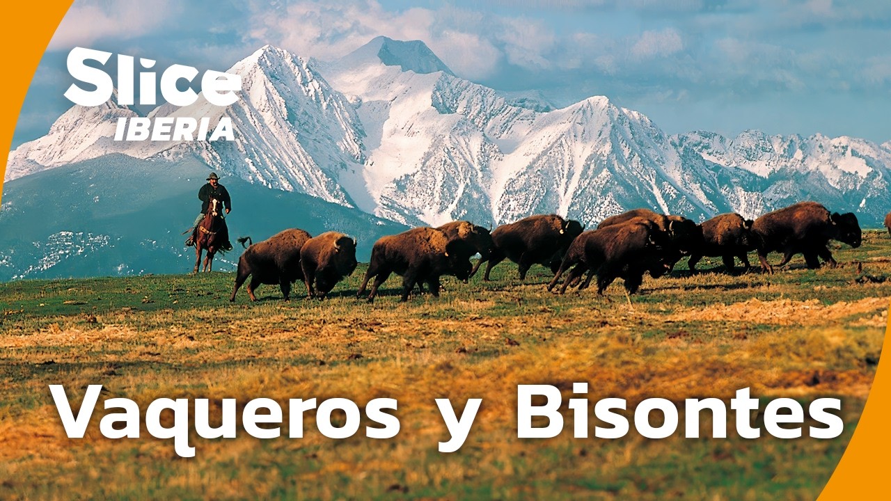 La Gran Recogida de Bisontes: Un Reto del Oeste Americano | SLICE Iberia | DOCUMENTAL COMPLETO