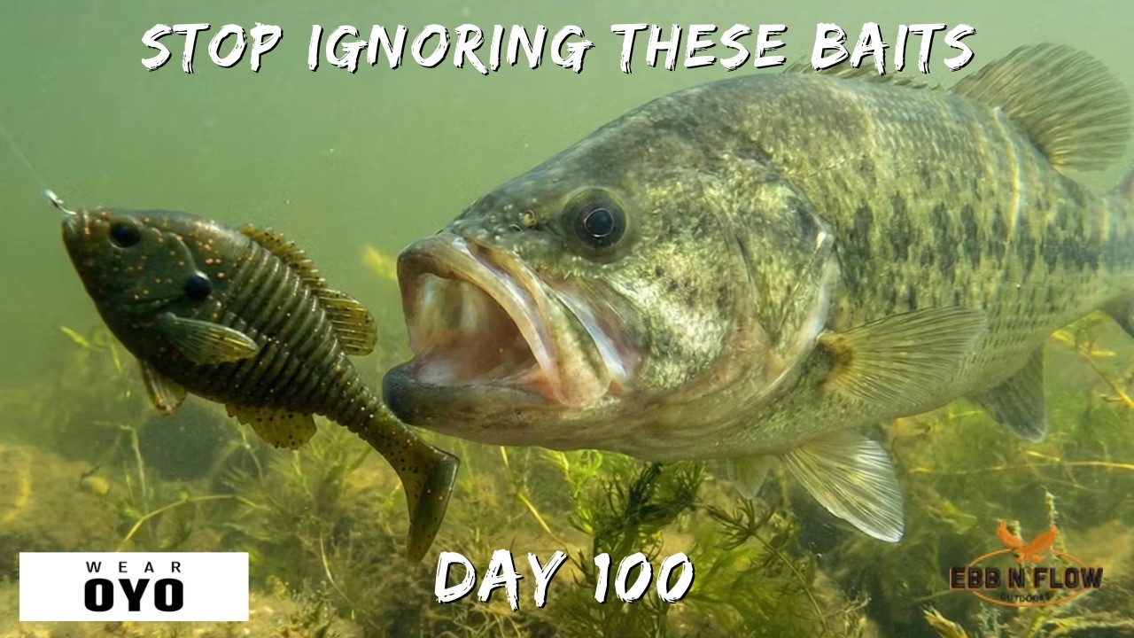 Stop Ignoring These 5 March Bass Baits! (Underwater Footage)