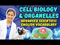 Indepth cell biology  organelles advanced scientific english vocabulary   learningenglishpro