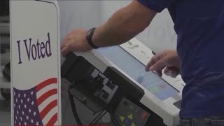 Political strategists give their insight into the presidential election