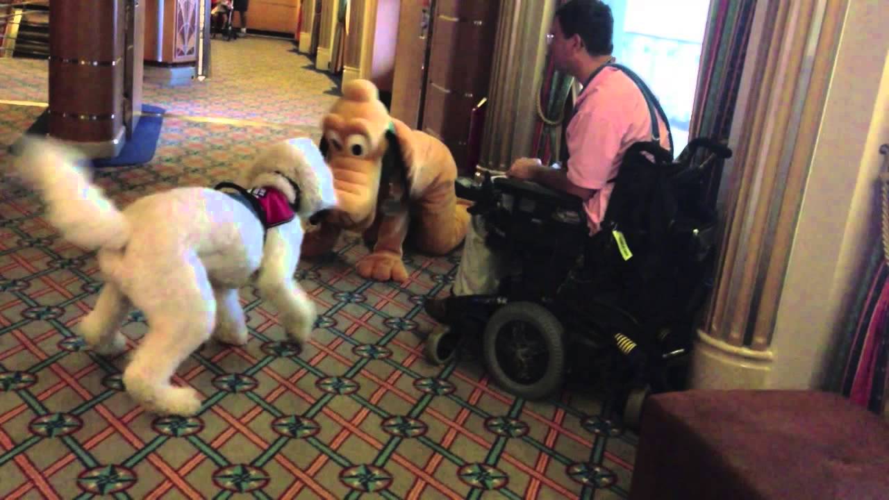 Play date with Pluto