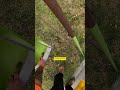 In a rush to save the good stuff! Trash picking