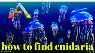 ark survival evolved how i find cnidaria jellyfish