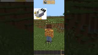 Чайка в Майнкрафте #shorts #рекомендации #minecraft #жираф