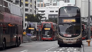 [首航]九巴 KMB AVBWU536(UV5549)@286C長沙灣(深旺道)→利安