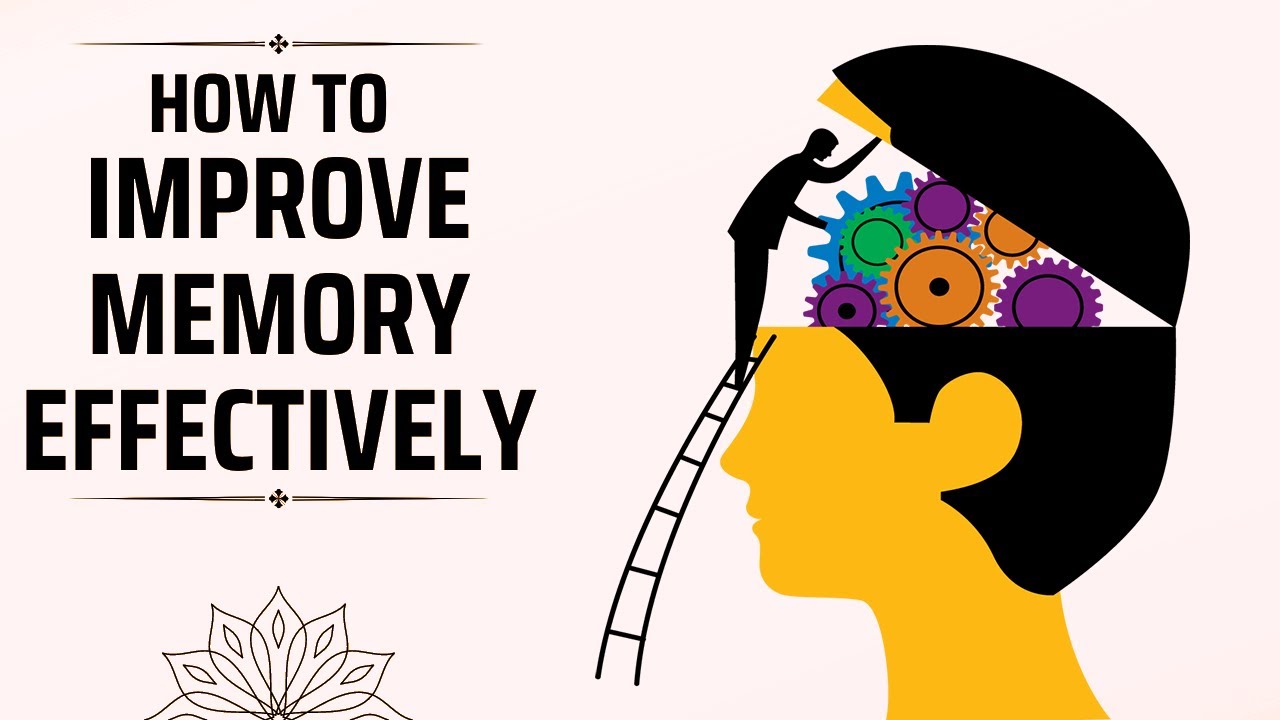 How to Improve Memory Effectively - YouTube