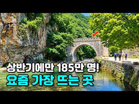 입장·주차 무료에 이런 풍경까지! ‘한국인이라면 꼭 가봐야 할 여행지 1위’에 오른 이유가 있네요! 산자락을 뒤덮은 보랏빛 가을꽃밭까지