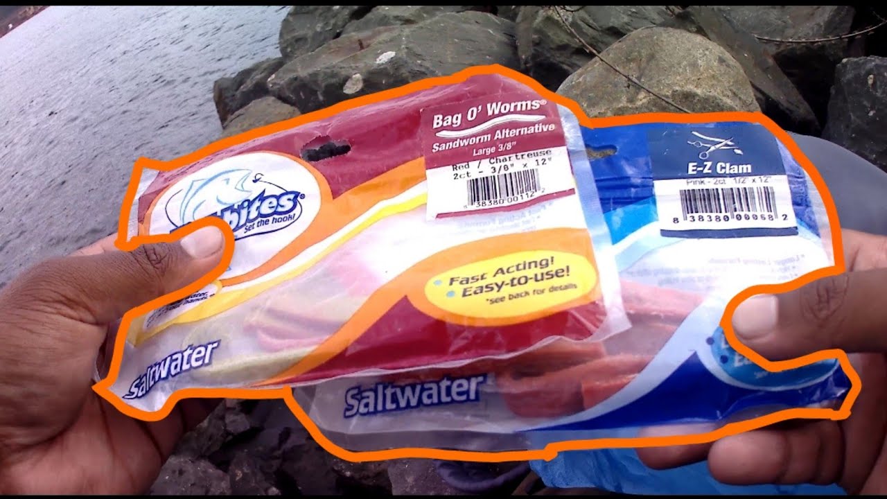 How to Use Fishbites to Catch Micro-Mouths (New Species)!!!