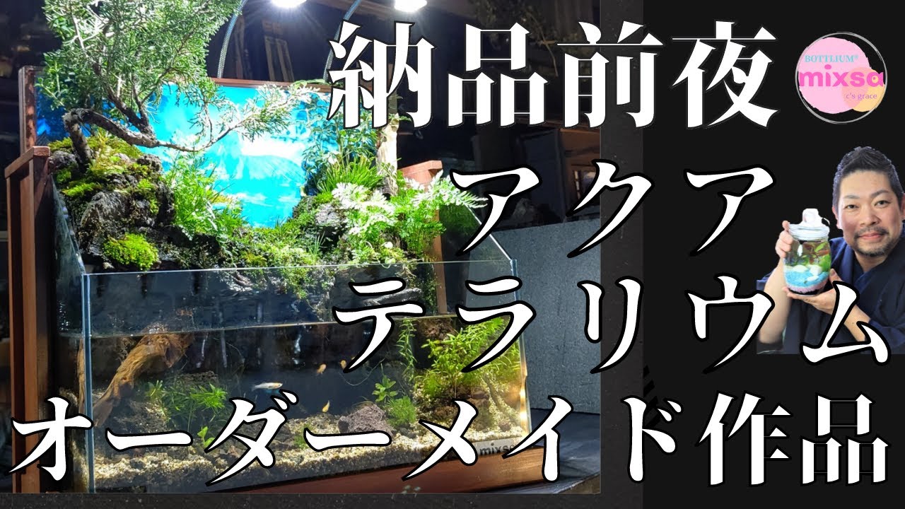 究極の癒し】お部屋に大自然！オリジナルアクアテラリウム作品 