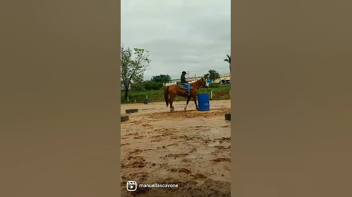 coisa linda
