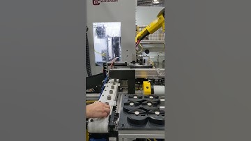 Double Disc Grinder with Robot Automation